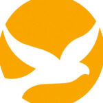 Comunidade Católica Shalom Missão Campo Grande MS