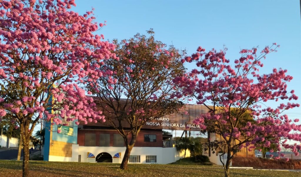 PARÓQUIA  NOSSA SENHORA DA ABADIA (SANTUÁRIO)